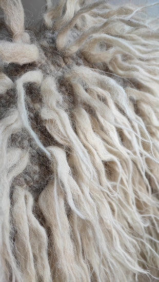 Vovnya rug light gray base, irregular shape